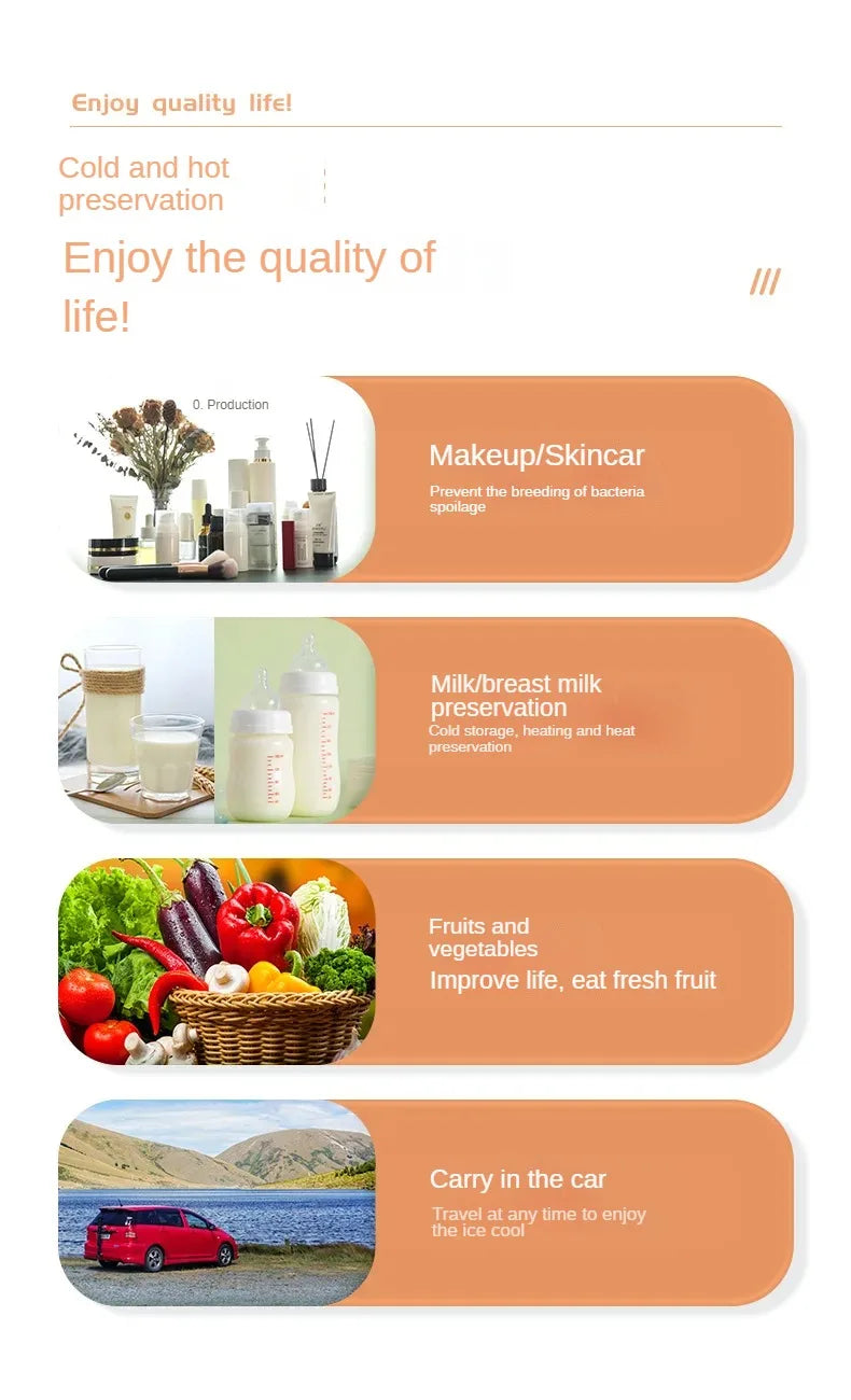 4L Beauty refrigerator Cosmetics Mini portable built-in light car