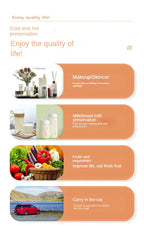 4L Beauty refrigerator Cosmetics Mini portable built-in light car