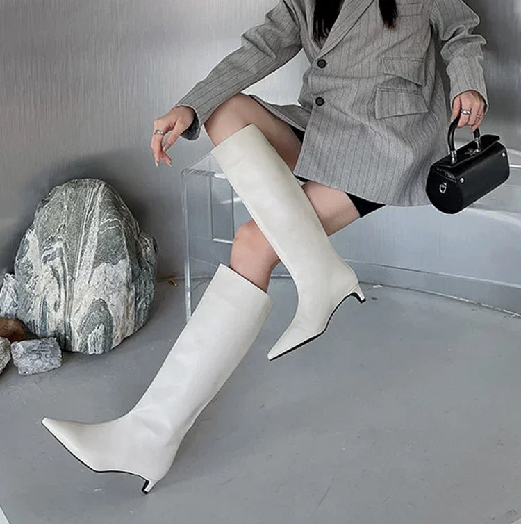 Pointed Toe Women High Boots Leather Fashion Sexy Heels Shoes Woman Trend New Snow Boots Low Heels Elegant Goth Mujer Botas