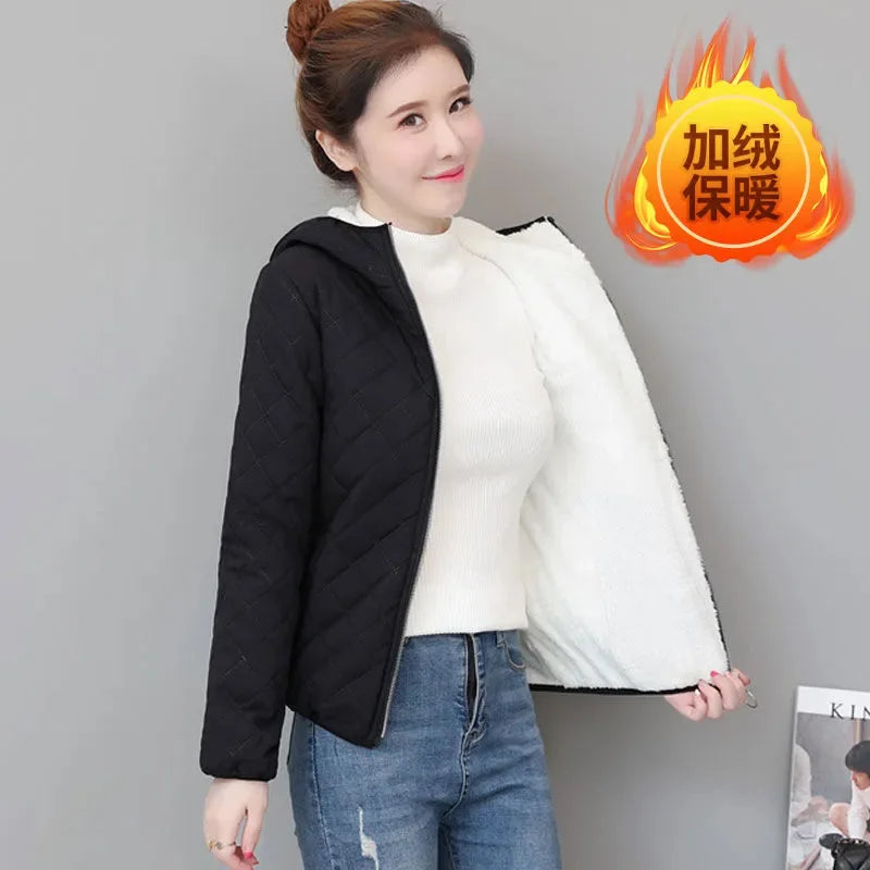 Winter Lambswool Coat 2025 Small Cotton-Padded Coat Women's Short Parkas Warm Cotton Jacket Joker Hooded Outwear Ladies Overwear