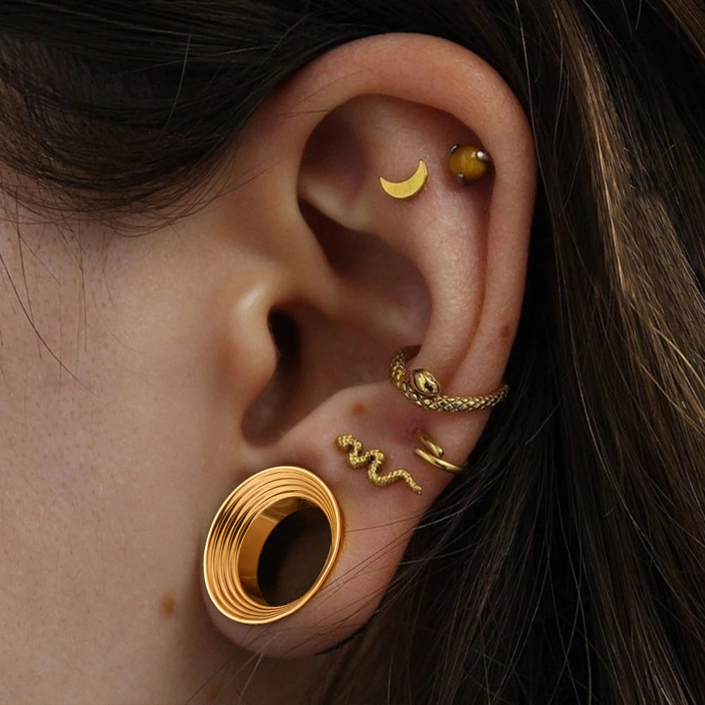 Doearko 2PCS Classic hollow spiral gauges Ear Plugs Tunnels Stainless Steel Ear Gauges Body Piercing Jewelry for women/men