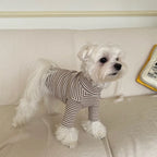 Dog Winter Coat with Furry Collar Fleece Lining Warm Dog Jacket Waterproof Dog Clothes Soft Puppy Vest Cat Cold Weather Clothing