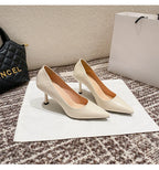Female Heels Women Shoes Brand Women Pumps Office Ladies Working Shoes Solid Pointed Toe Dress Shoes Spring Autumn Plus Size 43