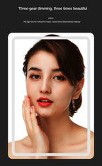 4L Beauty refrigerator Cosmetics Mini portable built-in light car