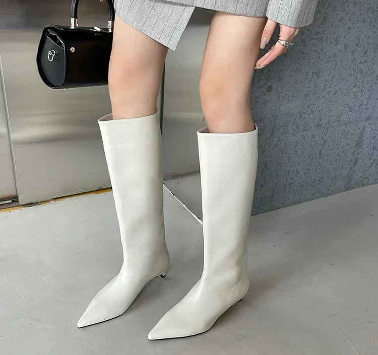 Pointed Toe Women High Boots Leather Fashion Sexy Heels Shoes Woman Trend New Snow Boots Low Heels Elegant Goth Mujer Botas