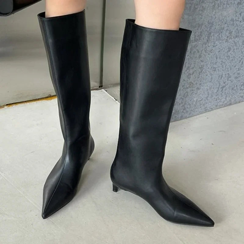 Pointed Toe Women High Boots Leather Fashion Sexy Heels Shoes Woman  Trend New Snow Boots Low Heels Elegant Goth Mujer Botas