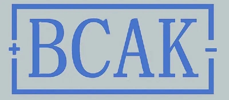 New Style BCAK power bank 20000mAh self-contained cable fast charging mini mobile phone gift mobile power supply