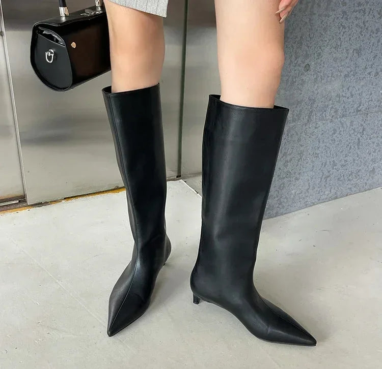 Pointed Toe Women High Boots Leather Fashion Sexy Heels Shoes Woman Trend New Snow Boots Low Heels Elegant Goth Mujer Botas