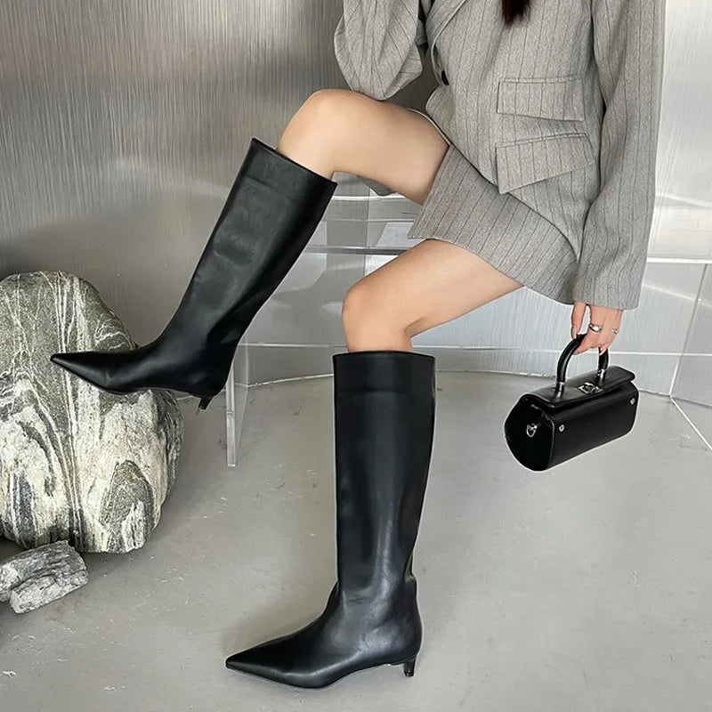 Pointed Toe Women High Boots Leather Fashion Sexy Heels Shoes Woman Trend New Snow Boots Low Heels Elegant Goth Mujer Botas