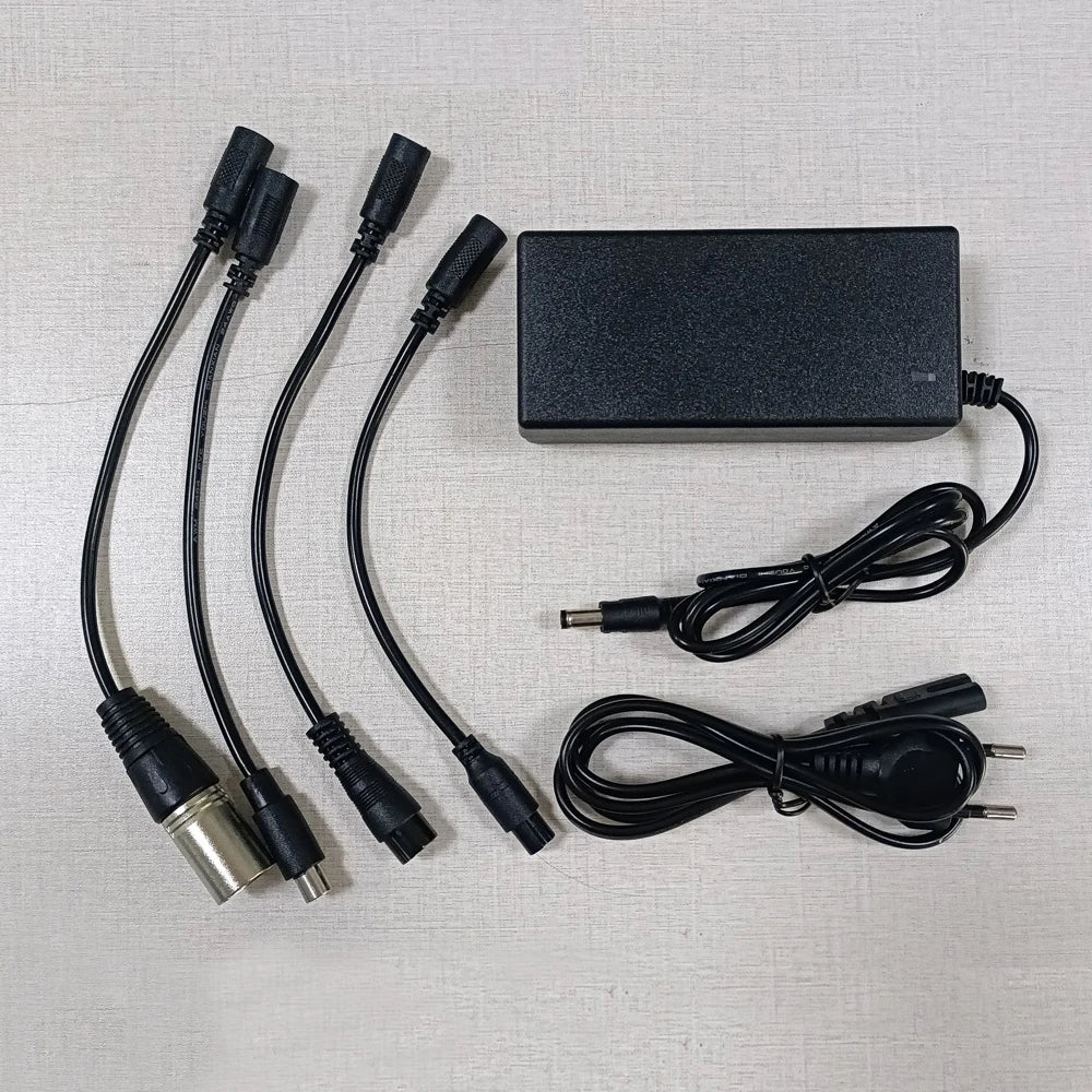 54.6V/42V 2A charger for 48V 36V li-ion Battery Charger DC Plug Adapter Connecters 10S 13S 42V 54.6V Lithium Battery Chargers